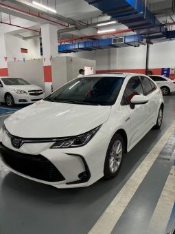 2023 Toyota Corolla