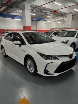 2023 Toyota Corolla