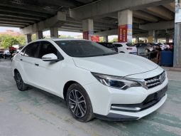 2019 Qichen D60