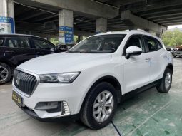 2019 Baojun BX5