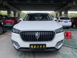 2019 Baojun BX5