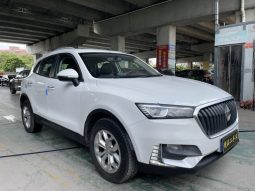 2019 Baojun BX5